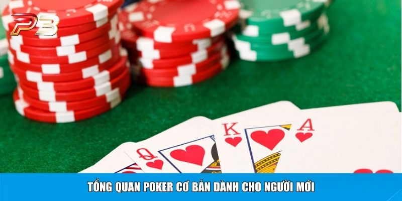 Tổng quan Poker cơ bản dành cho người mới